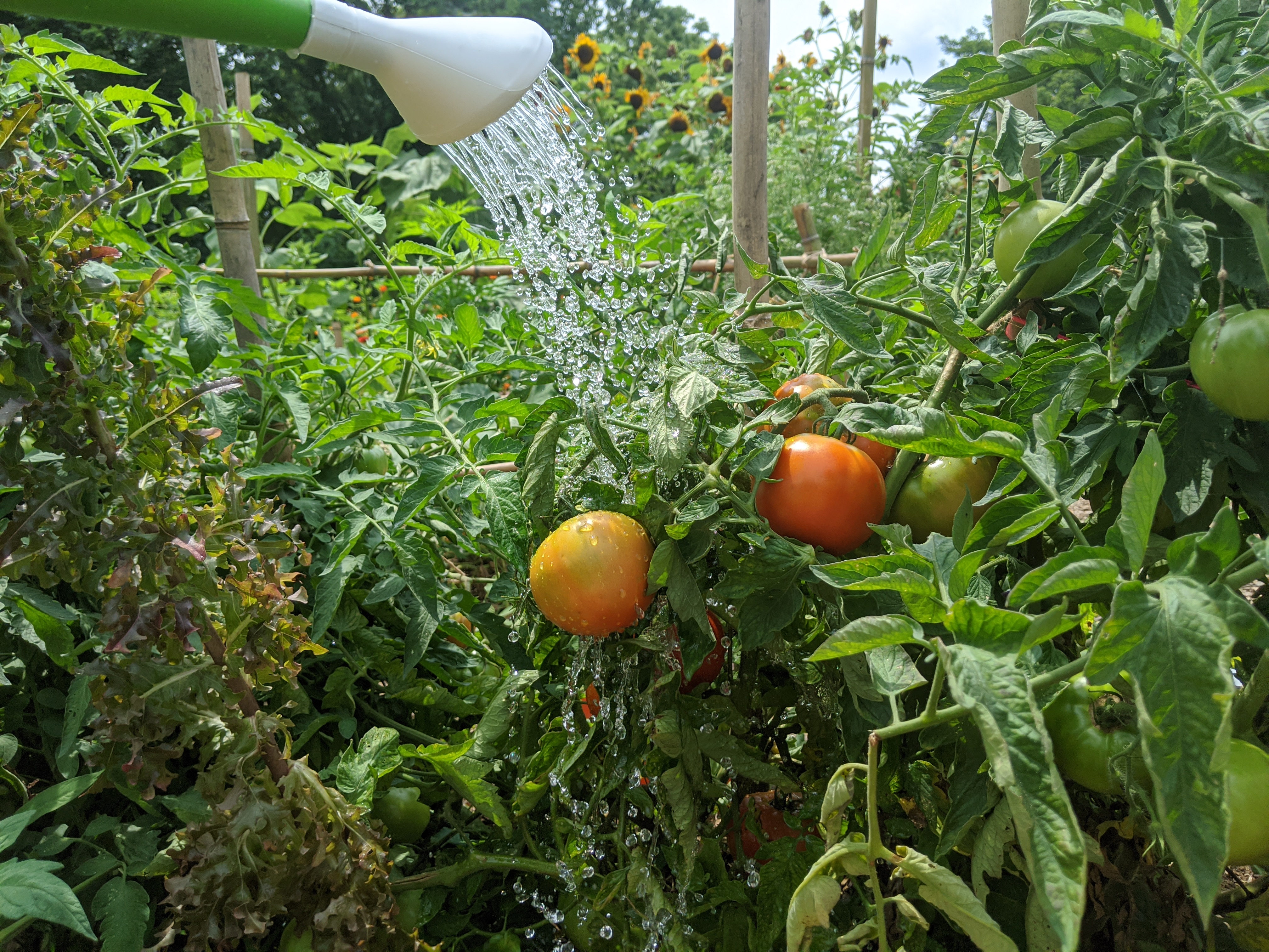 Food Water Communities StoryMap